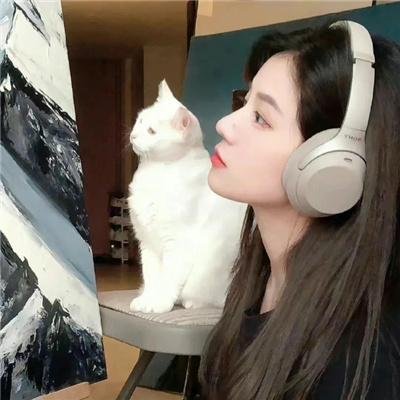 柳绿花红
