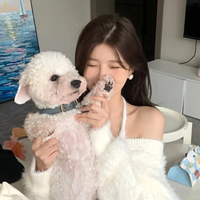 与混蛋一起过圣诞节